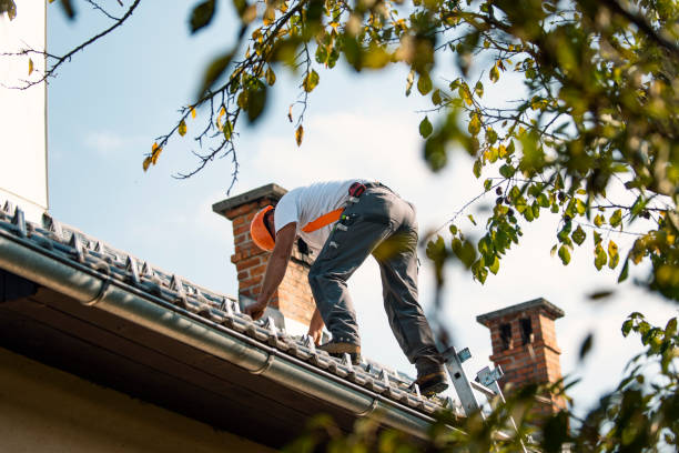 Best Gutter Installation and Roofing  in Riverside, CT